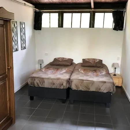 Het Dennenhuis, Mooi Vakantiehuis In Het Bos. Doornspijk