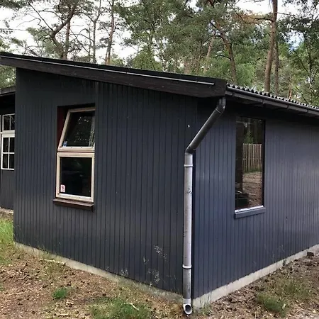 Holiday home Het Dennenhuis, Mooi Vakantiehuis In Het Bos. *