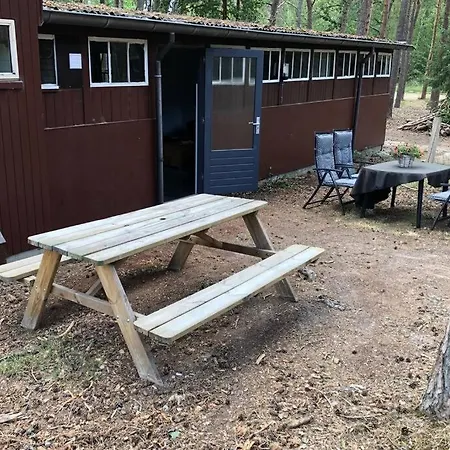 Het Dennenhuis, Mooi Vakantiehuis In Het Bos. Holiday home
