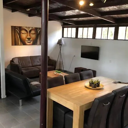 Holiday home Het Dennenhuis, Mooi Vakantiehuis In Het Bos. Doornspijk