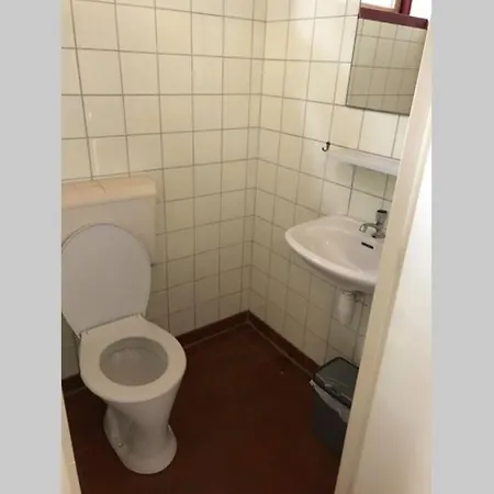 Het Dennenhuis, Mooi Vakantiehuis In Het Bos. Doornspijk
