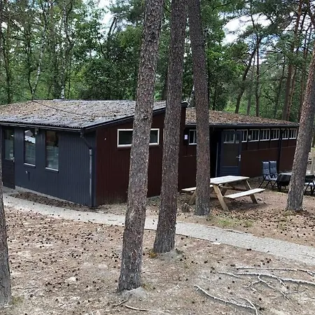 Het Dennenhuis, Mooi Vakantiehuis In Het Bos.