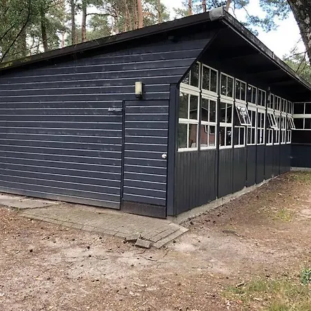 Holiday home Het Dennenhuis, Mooi Vakantiehuis In Het Bos. Doornspijk