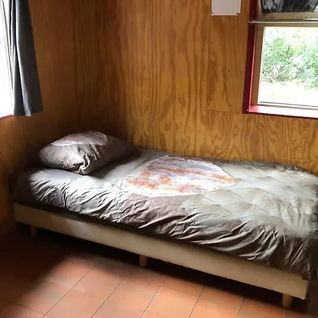 Het Dennenhuis, Mooi Vakantiehuis In Het Bos. Doornspijk