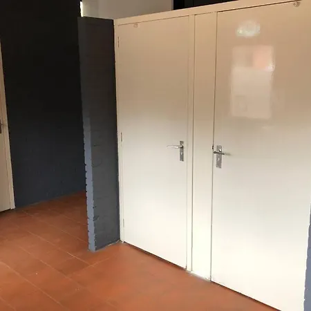 Het Dennenhuis, Mooi Vakantiehuis In Het Bos. Doornspijk