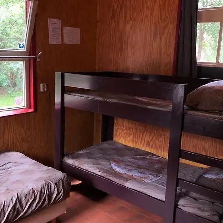 Het Dennenhuis, Mooi Vakantiehuis In Het Bos. Holiday home *
